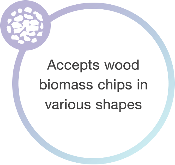 Accepts wood biomass chips in various shapes
