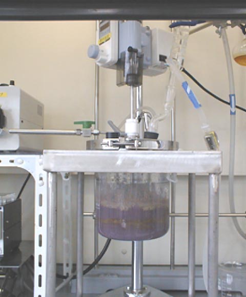 Laboratory testing of POPs detoxification process
