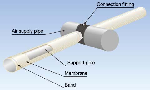 PABIO TUBE’s structure