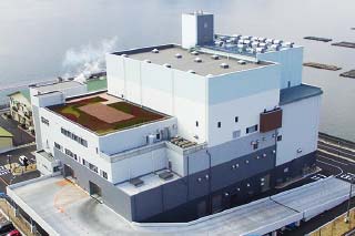 Fluidized-Bed Gasification & Combustion