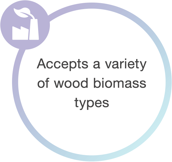 Accepts a variety of wood biomass types