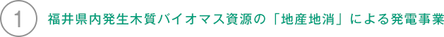 1.福井県内発生木質バイオマス資源の「地産地消」による発電事業