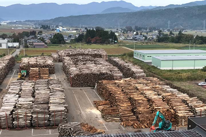 Wood storage yard